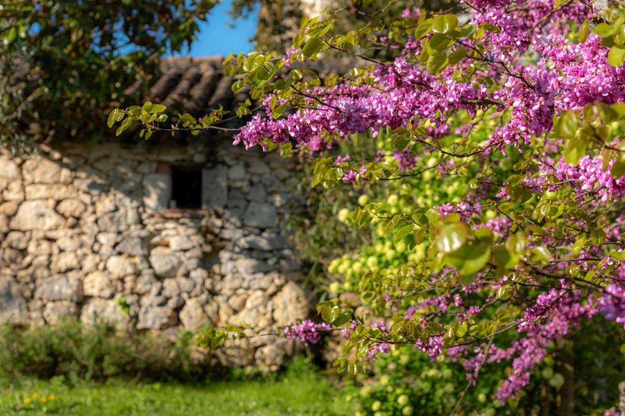 La Maison De Yuka Plieux ภายนอก รูปภาพ